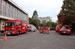 緊急車両の展示