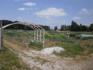 市民農園の写真1