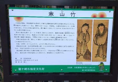 寒山竹の解説などを掲載しています