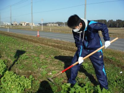 除草作業中の写真