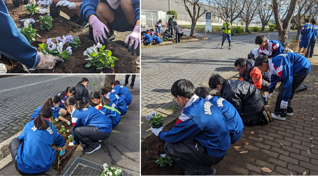 11月16日パンジー苗植えのようす
