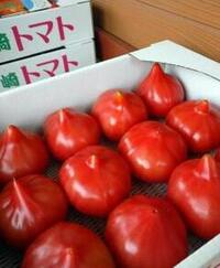 龍ケ崎トマト