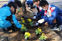 花いっぱい運動の様子1