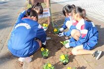 花いっぱい運動の様子2