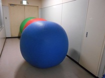スポフェスに向けての準備3