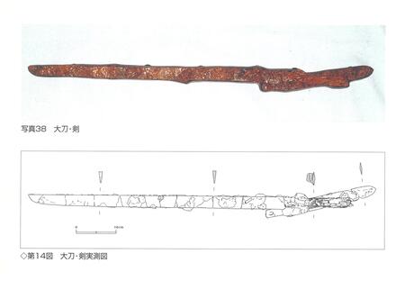 たち・けん写真