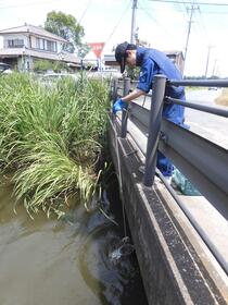 水質測定の様子1