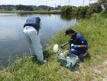 水質測定の様子2