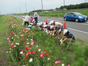 花植え