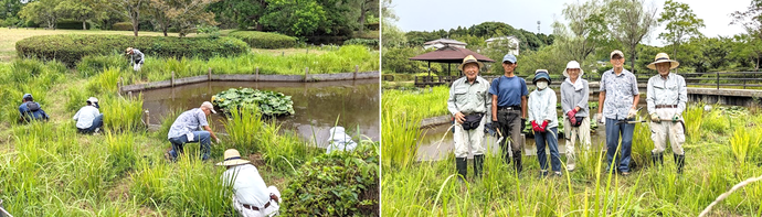 公園の里親活動のようす