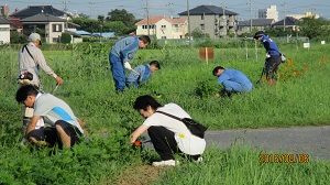 除草5