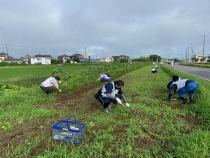 除草作業中の写真