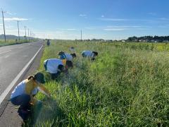 明治安田生命の方が除草作業をしている写真