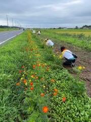 除草作業中の写真