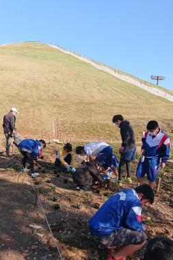 芝桜の苗を植える城ノ内中学校生徒と、たつのこ山芝桜実行委員会の皆さん