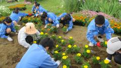 城西中学生が花苗植えをしている写真