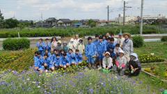 小貝川花とふれあいの輪と城西中学校の集合写真