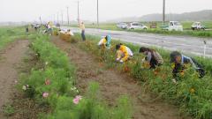 明治安田生命の方の除草作業中の写真