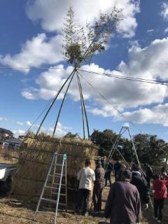 鳥追い祭り準備で小屋を作っている写真