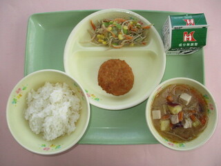 43200605syo