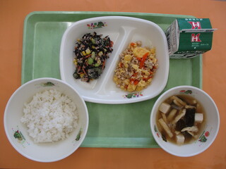 ご飯・牛乳・肉たまごそぼろ・ひじきサラダ・豆腐の味噌汁