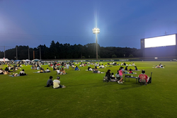 映画鑑賞の様子