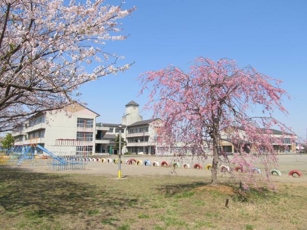 IMG_1489.JPG