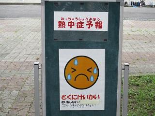 今日は昼休みの外遊びが可能です。