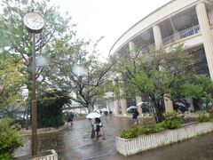 災いの雨、幸いの雨？