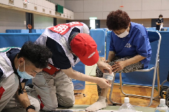 日本赤十字の活動