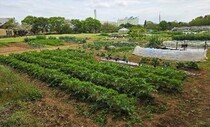 レンタル農園外観